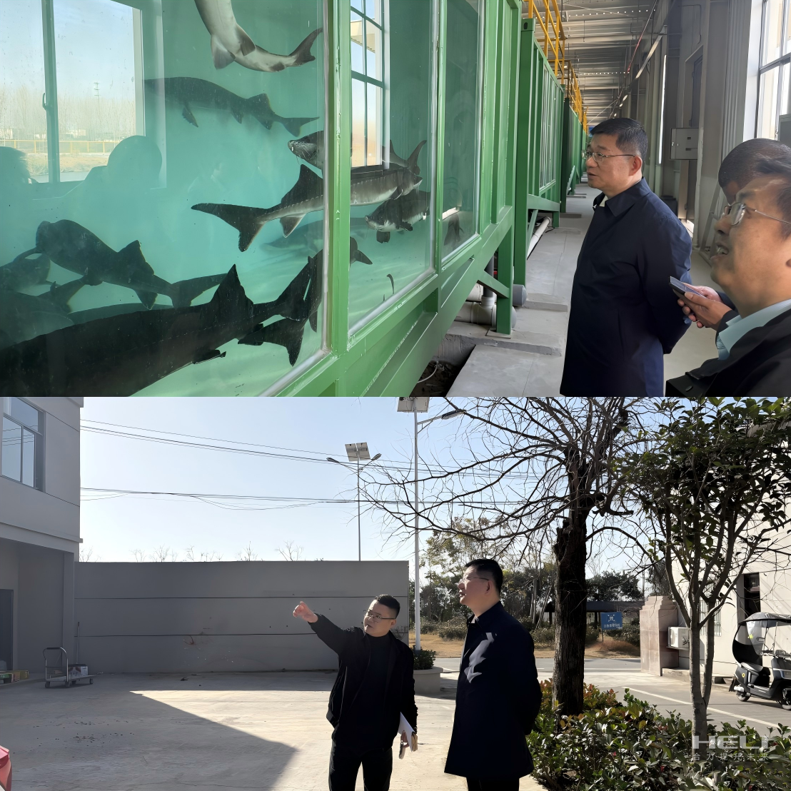 调研“智慧渔场”及社区集体经济发展.png 调研“智慧渔场”及社区集体经济发展.png